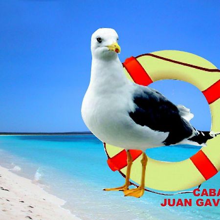 Cabanas Juan Gaviota 푼타 데 초로스 외부 사진