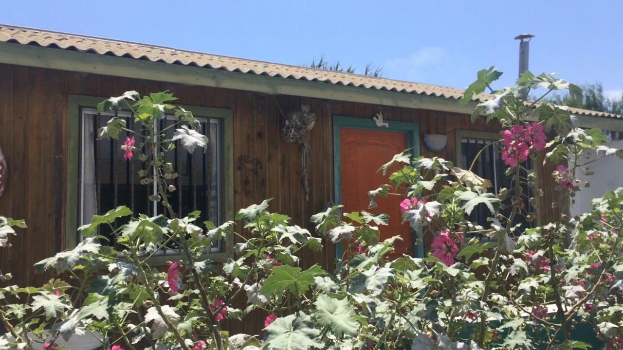 Cabanas Juan Gaviota 푼타 데 초로스 외부 사진