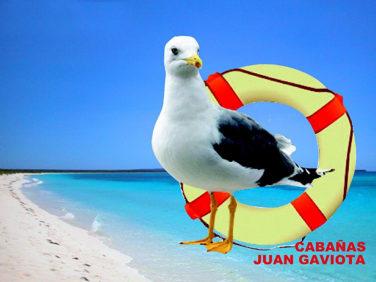 Cabanas Juan Gaviota 푼타 데 초로스 외부 사진
