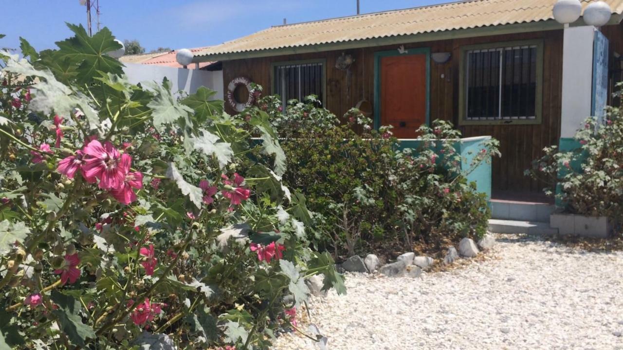 Cabanas Juan Gaviota 푼타 데 초로스 외부 사진