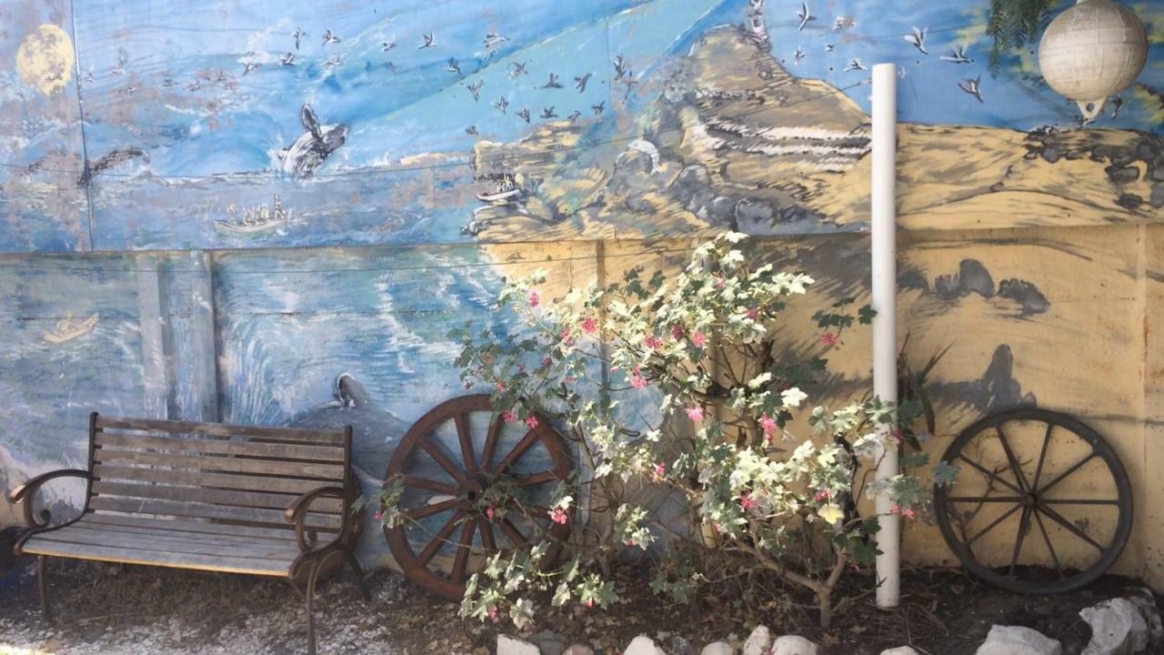 Cabanas Juan Gaviota 푼타 데 초로스 외부 사진