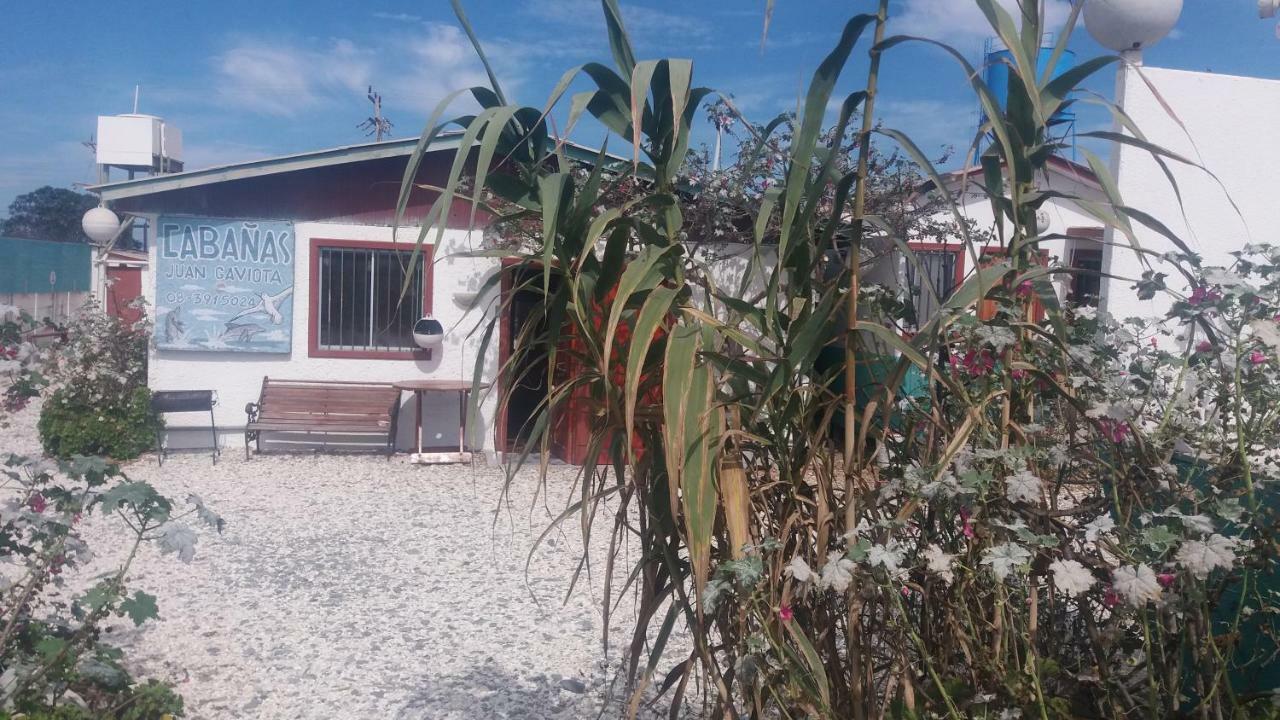 Cabanas Juan Gaviota 푼타 데 초로스 외부 사진