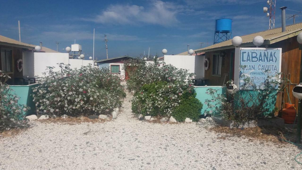 Cabanas Juan Gaviota 푼타 데 초로스 외부 사진