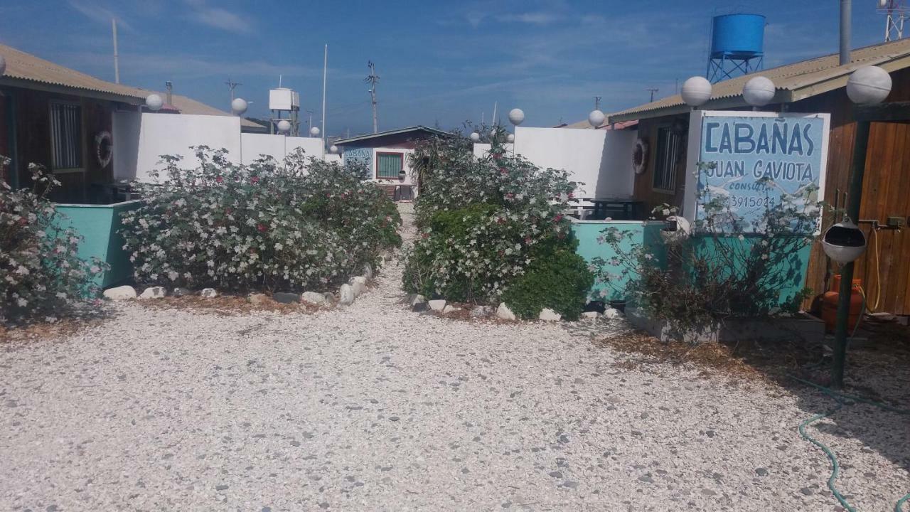 Cabanas Juan Gaviota 푼타 데 초로스 외부 사진