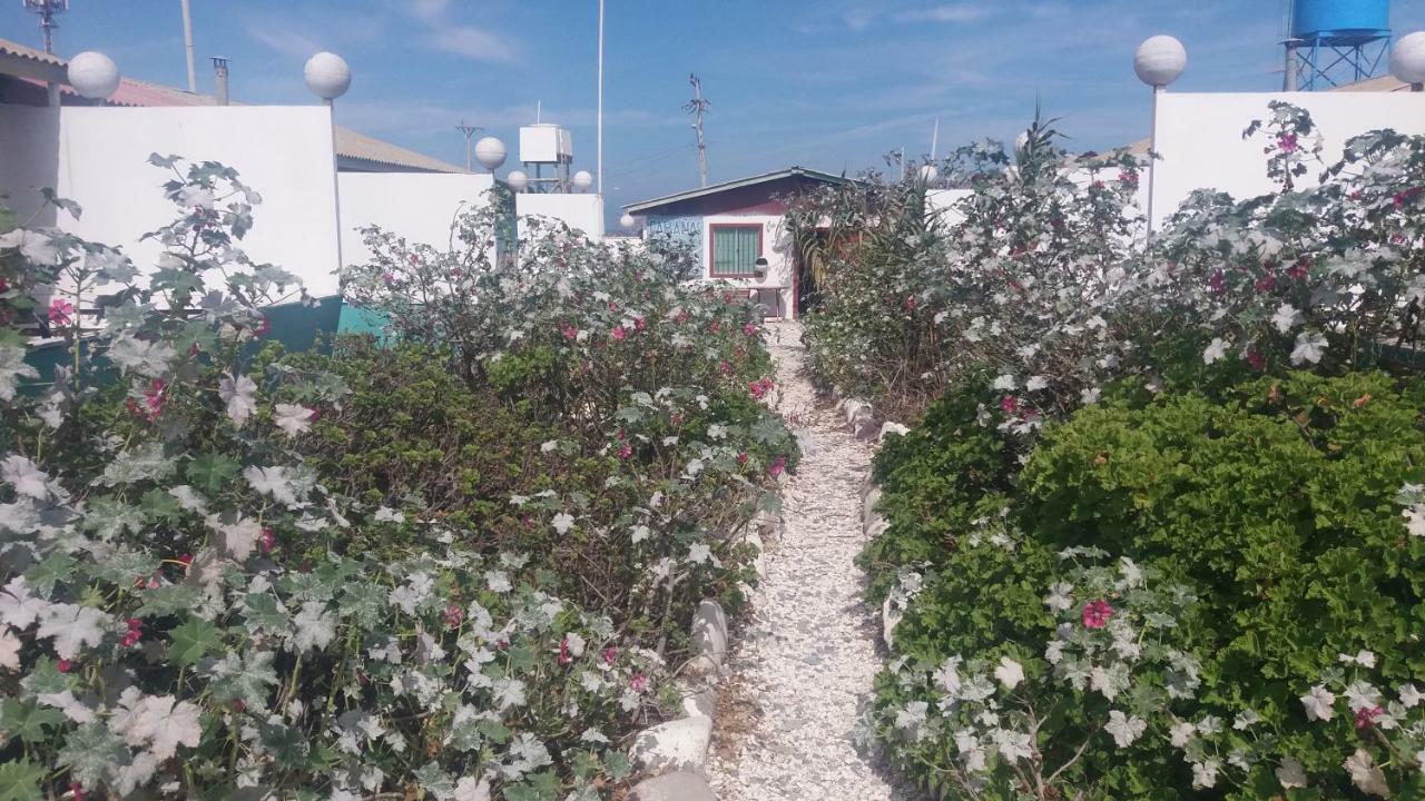 Cabanas Juan Gaviota 푼타 데 초로스 외부 사진