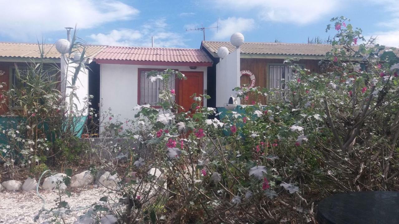 Cabanas Juan Gaviota 푼타 데 초로스 외부 사진